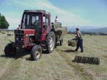 Haymaking in Ravenstonedale