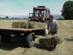 Haymaking in Ravenstonedale