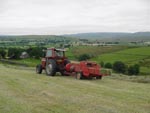 Haymaking in Ravenstonedale