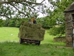 Haymaking in Ravenstonedale