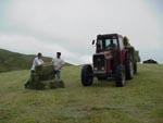Haymaking in Ravenstonedale