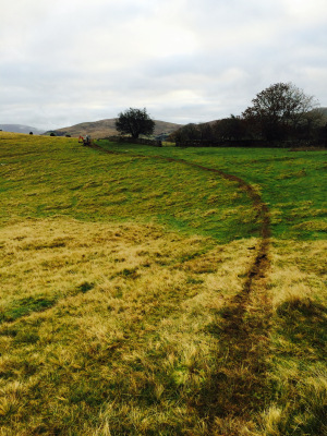 Fell End Broadband. Trenching