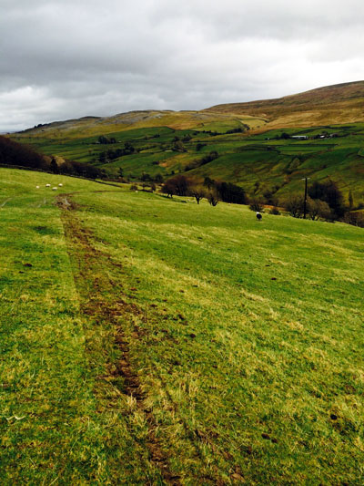 Fell End Broadband. Looking back along the network from Murthwaite