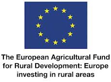 Logo. European Development Project