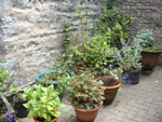 Ravenstonedale garden trail