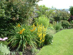 Ravenstonedale garden trail