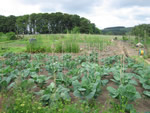 Ravenstonedale garden trail