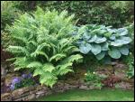 Ravenstonedale and Newbiggin-on-Lune Garden Trail 2008