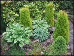 Ravenstonedale and Newbiggin-on-Lune Garden Trail 2008