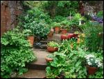 Ravenstonedale and Newbiggin-on-Lune Garden Trail 2008