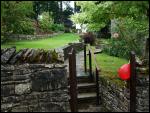 Ravenstonedale and Newbiggin-on-Lune Garden Trail 2008