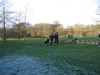 Ravenstonedale Golf