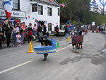 May Day