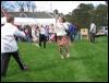 Mayday Madness 2006