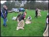 Mayday Madness 2006