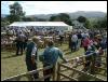 Ravenstonedale Agricultural Show 1999