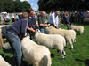 ravenstonedale show 2005