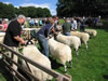 ravenstonedale show 2005