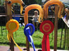 ravenstonedale show 2005