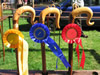 ravenstonedale show 2005