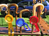 ravenstonedale show 2005