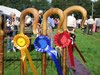 ravenstonedale show 2005