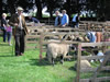 ravenstonedale show 2005