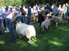 ravenstonedale show 2005