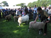 ravenstonedale show 2005