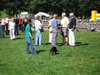 ravenstonedale show 2005