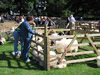 ravenstonedale show 2005
