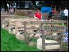 Ravenstonedale Agricultural Show 2006