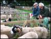 Ravenstonedale Agricultural Show 2006