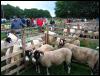 Ravenstonedale Agricultural Show 2006