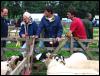 Ravenstonedale Agricultural Show 2006