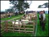 Ravenstonedale Agricultural Show 2006