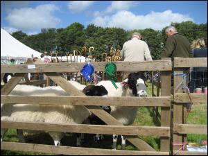 Ravenstonedale Show 2009