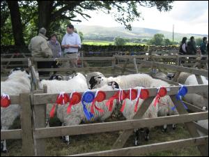 Ravenstonedale Show 2009