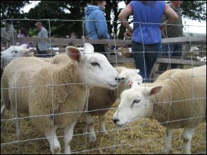 Ravenstonedale Show 2009