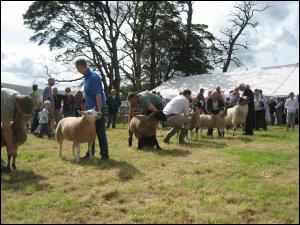 Ravenstonedale Show 2009