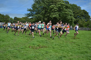 Ravenstonedale show 2011