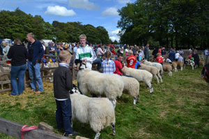 Ravenstonedale show 2011