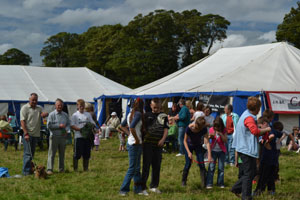 Ravenstonedale show 2011