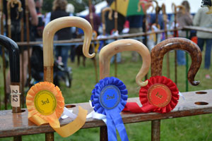 Ravenstonedale show 2011