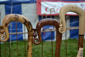 Ravenstonedale show 2011