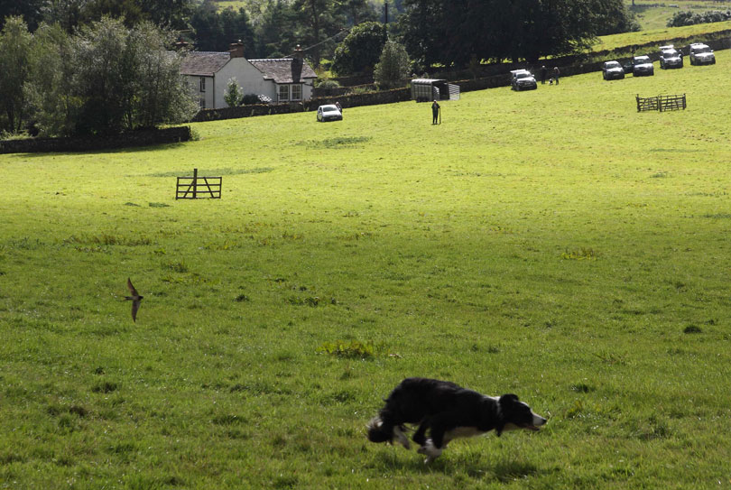 Ravenstonedale Show 2014