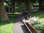Organ on the path