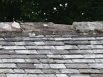 Ravenstonedale High Chapel 2007