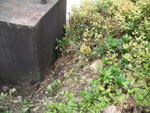 Ravenstonedale High Chapel 2007