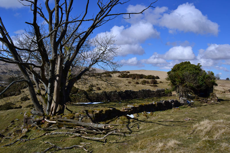 Blacksmiths on Ash Fell